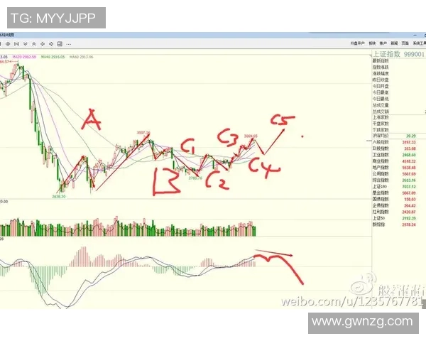 广州羽毛球队防守策略解析与战术创新探讨 广州羽毛球队防守策略解析与战术创新探讨