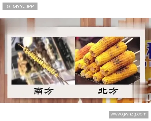 北方与南方的文化差异与生活习惯探讨之旅