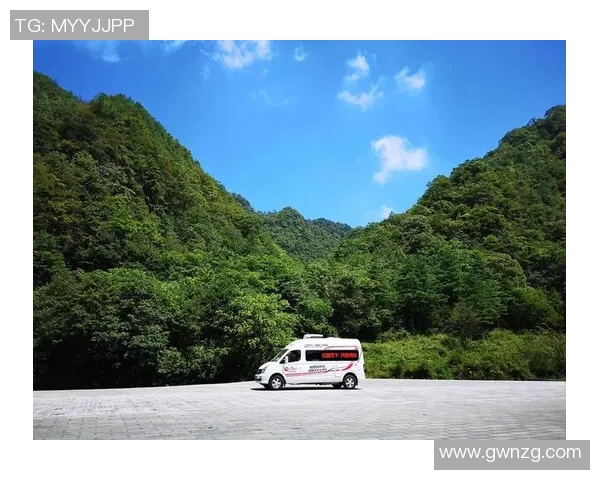 弗拉霍维奇引领新潮流球场上的闪耀之星与未来之希望