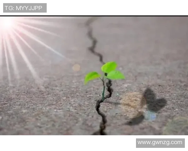 流浪者与标准烈日的较量在光影交错中展现生命的坚韧与希望