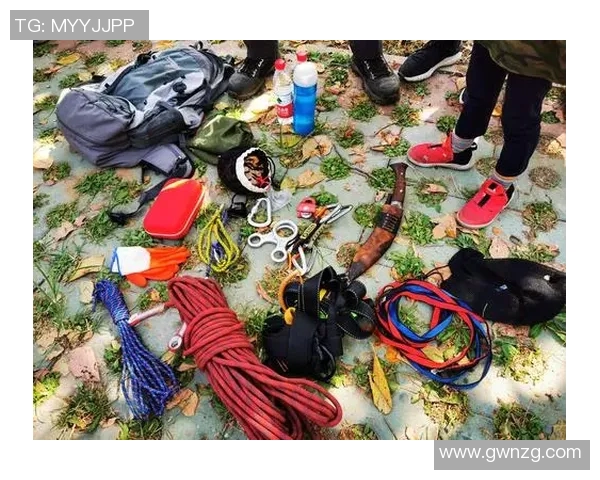 盐城湖与达拉斯对决结果揭晓精彩瞬间回顾与分析