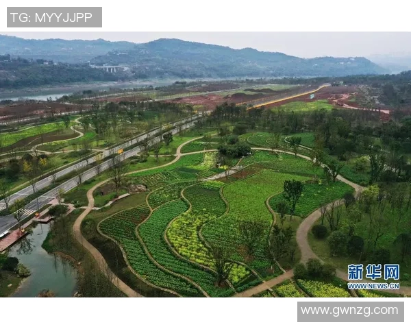 贾诚：从平凡到卓越的奋斗之路与人生哲学探讨