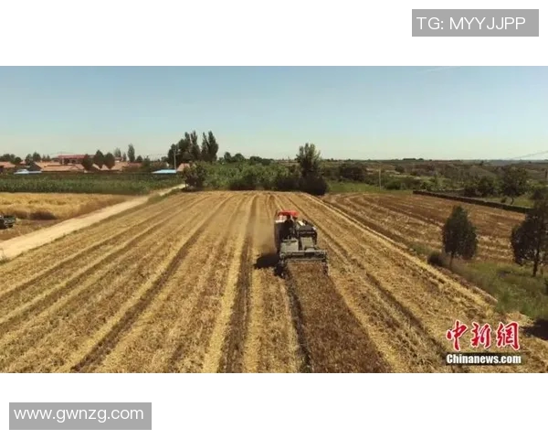 古铁雷斯的传奇人生与对现代社会的深远影响探讨