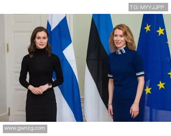 芬兰对阵爱沙尼亚精彩直播全程回顾与赛后分析