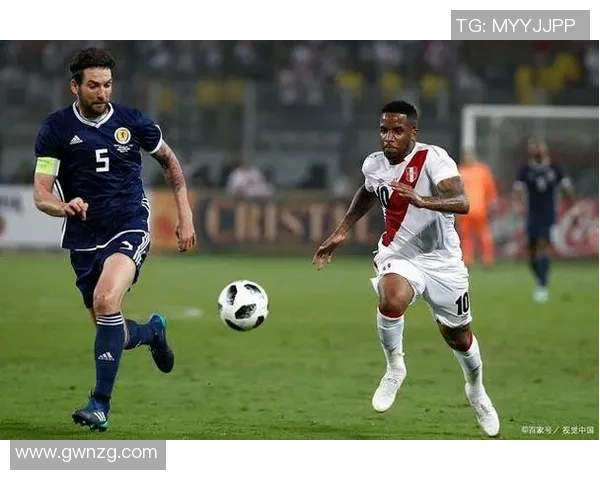 纽西兰对秘鲁精彩直播全程回顾与赛后分析 纽西兰对秘鲁精彩直播全程回顾与赛后分析