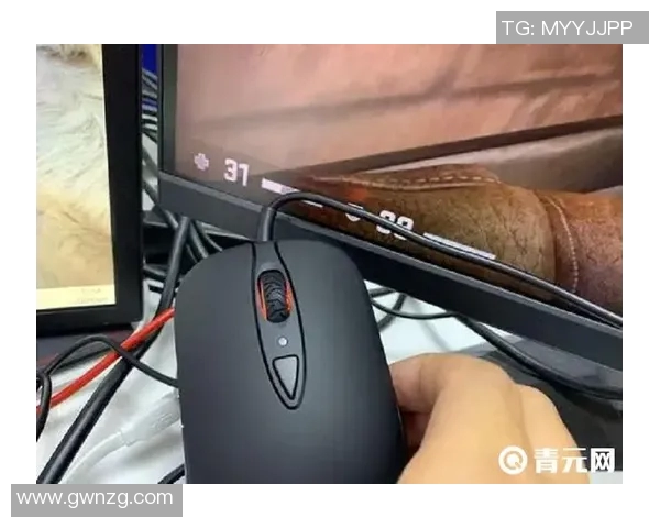 CSGO游戏装备选购指南：如何选择适合你的鼠标推荐