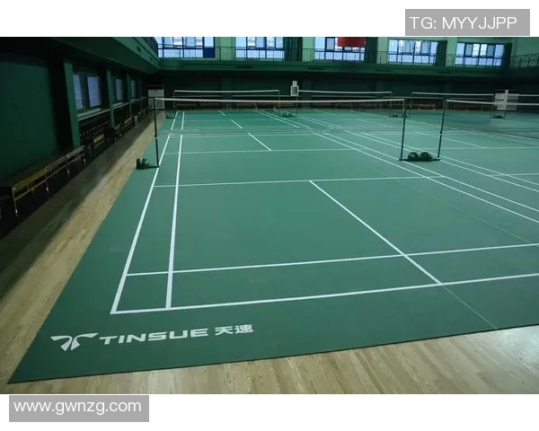 北京羽毛球队实力分析与表现评估：数据透视与趋势解读