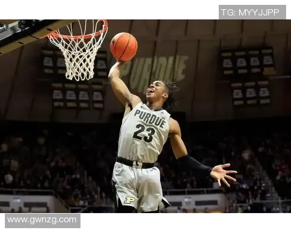 杰登艾维的崛起之路如何改变NBA未来的格局与发展