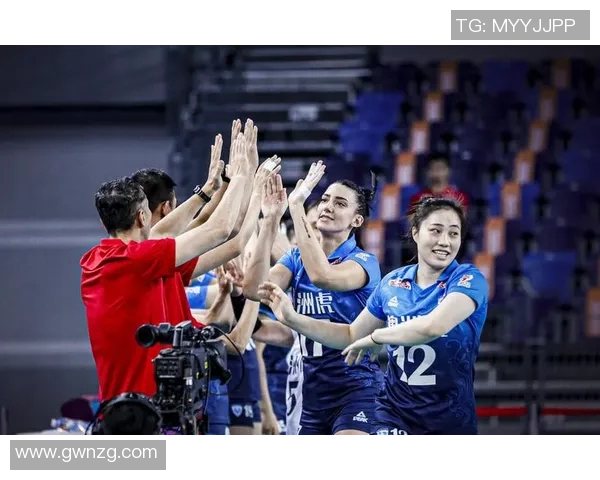 深圳排球队的节奏与发展:探索排球运动的魅力与未来