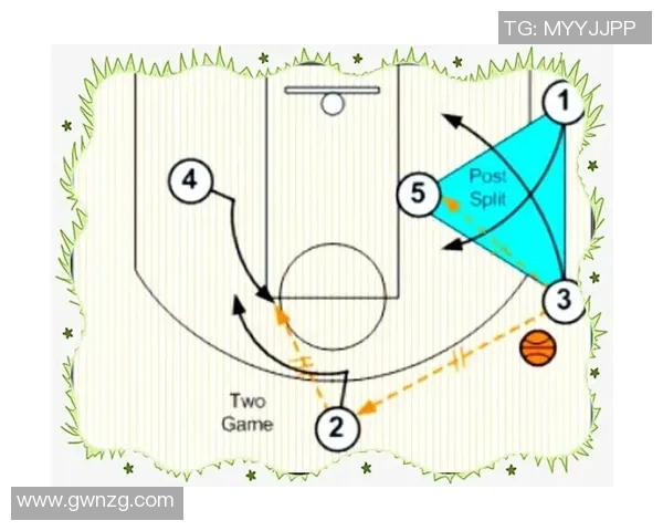 成都飞盘队区域防守体系解析与战术应用探讨